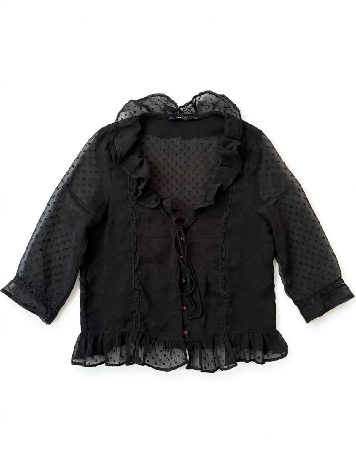 Blusa Plumeti Zara — foto 1