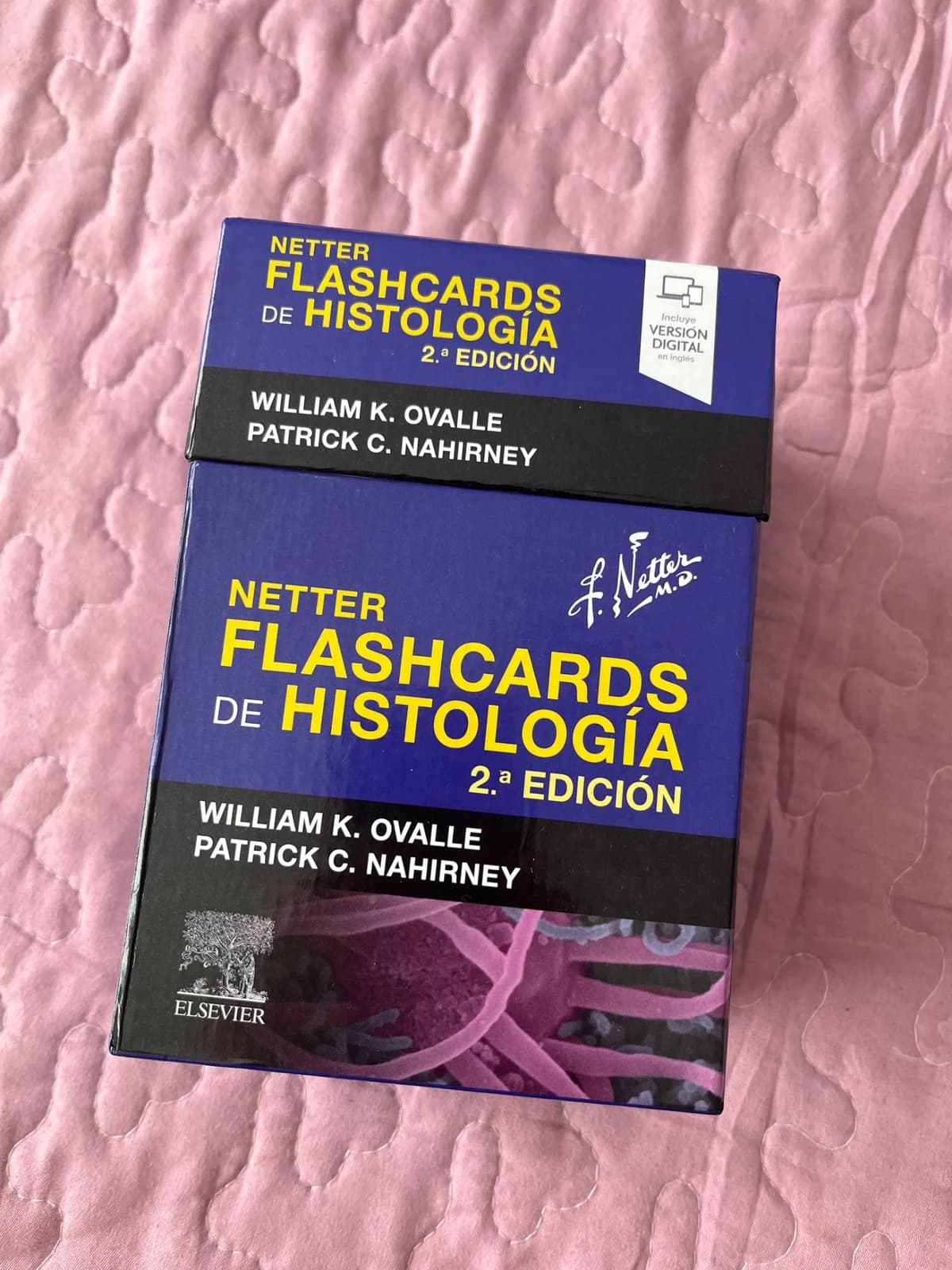 Flashcards histología — foto 1
