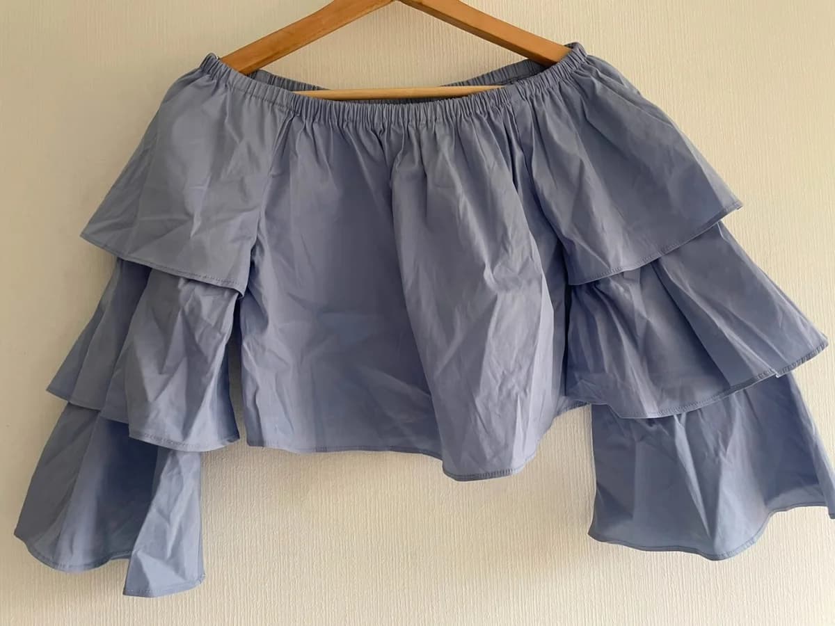 Usado por Fresia Diaz , Top sin hombro Zara, talla xs