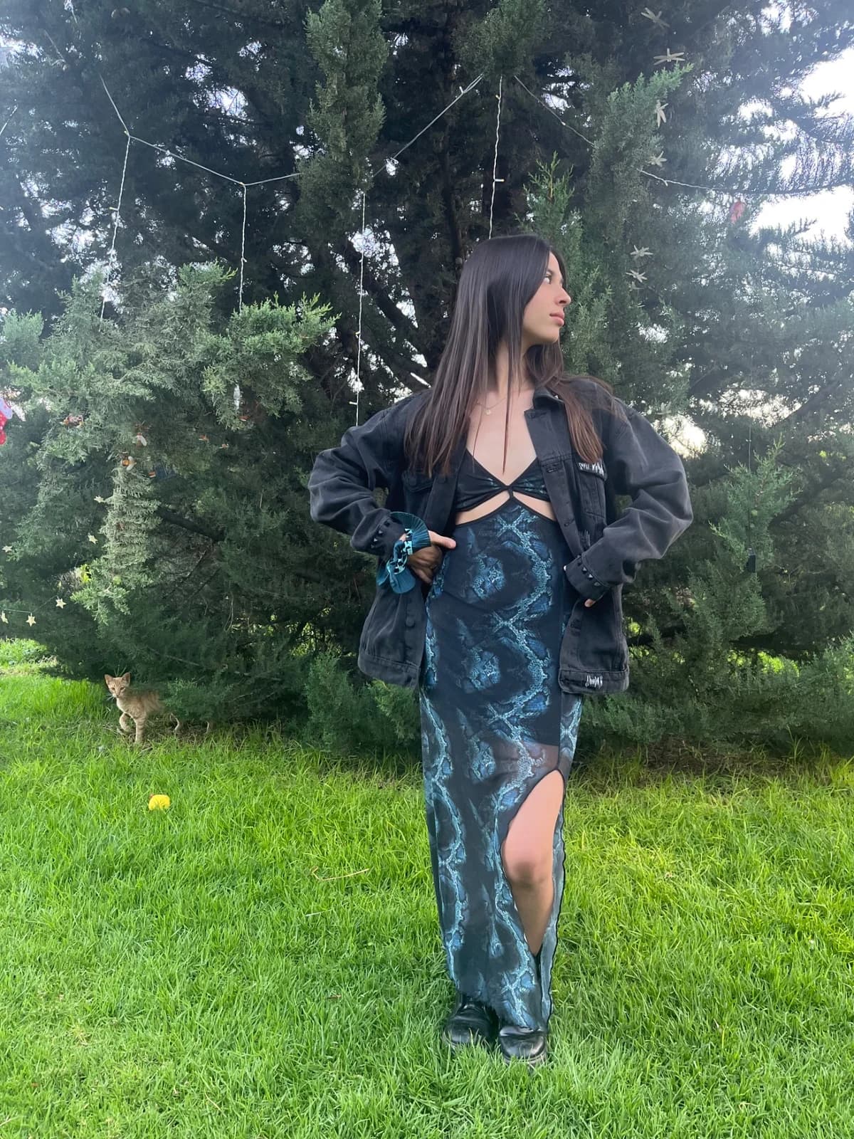 Usado por Monse Carmona, Vestido largo animal print